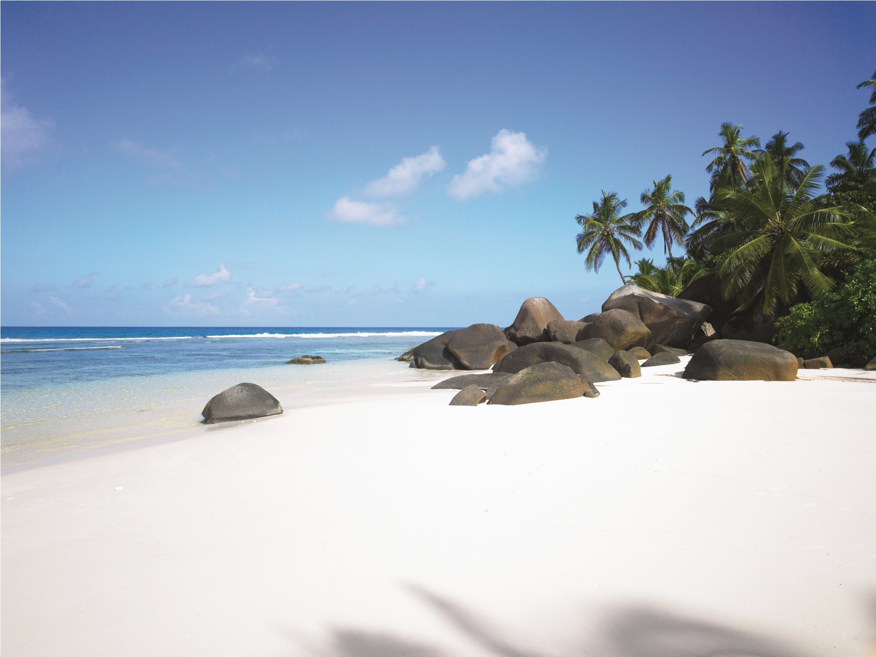 Niva Labriz Seychelles